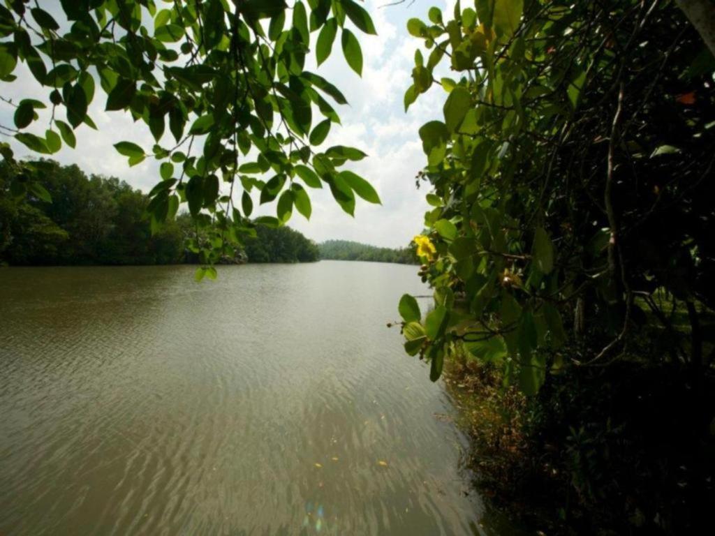 Mangrove Escapes Resort Bentota Eksteriør bilde