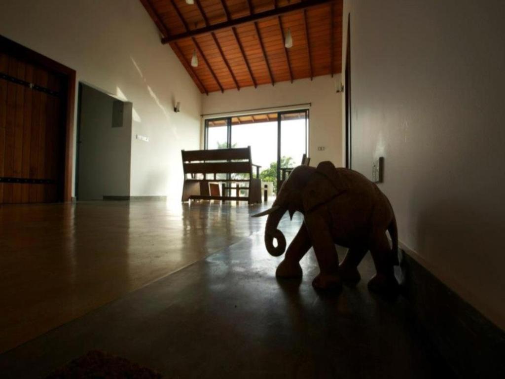 Mangrove Escapes Resort Bentota Eksteriør bilde
