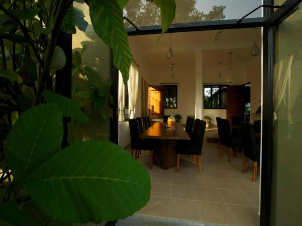 Mangrove Escapes Resort Bentota Eksteriør bilde