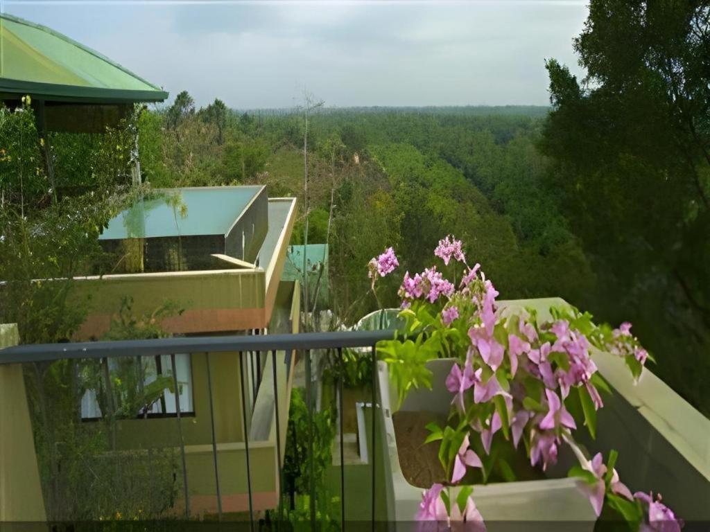 Mangrove Escapes Resort Bentota Eksteriør bilde