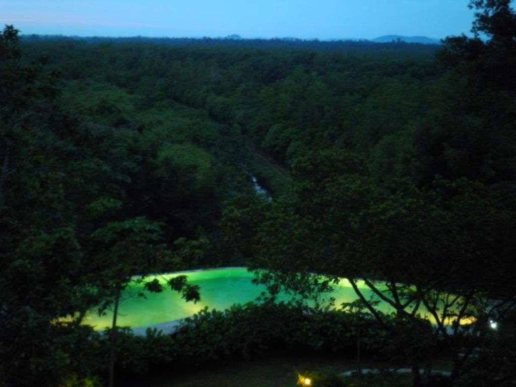 Mangrove Escapes Resort Bentota Eksteriør bilde