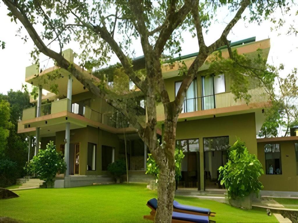 Mangrove Escapes Resort Bentota Eksteriør bilde