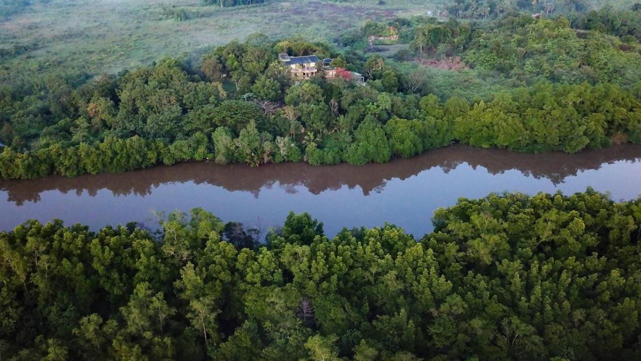 Mangrove Escapes Resort Bentota Eksteriør bilde