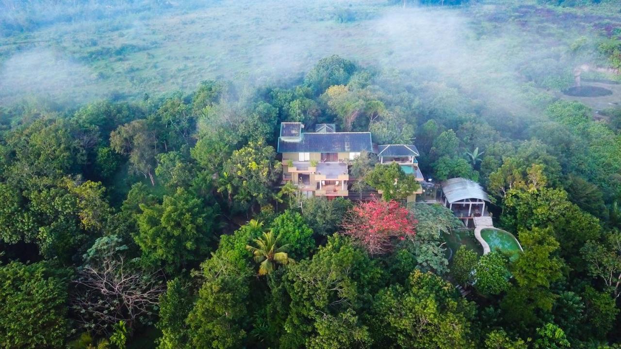 Mangrove Escapes Resort Bentota Eksteriør bilde
