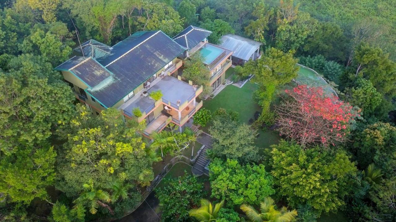 Mangrove Escapes Resort Bentota Eksteriør bilde