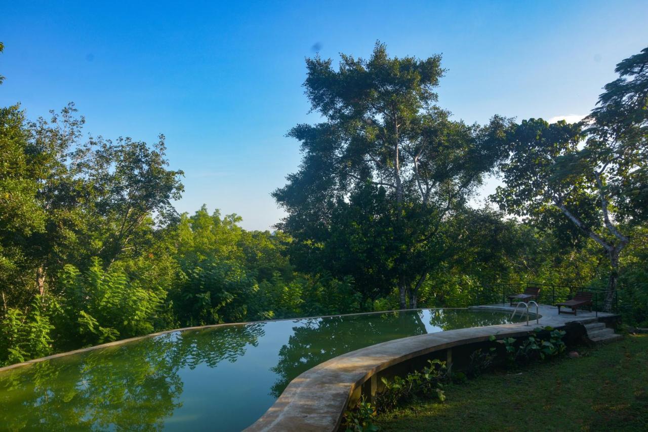 Mangrove Escapes Resort Bentota Eksteriør bilde